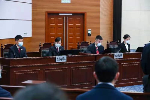 重庆检察机关支持起诉系列消费民事公益诉讼案