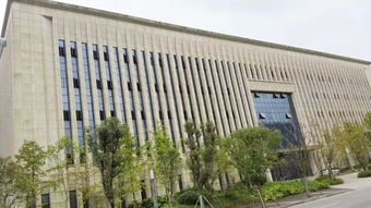 中德合资重庆德尔森传感器公司招募人才 名额有限