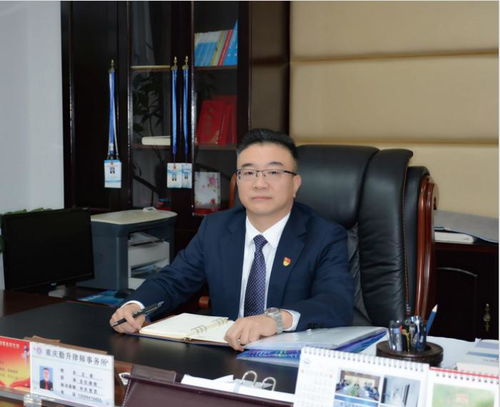 重庆勤升律师事务所主任 党支部书记王琴