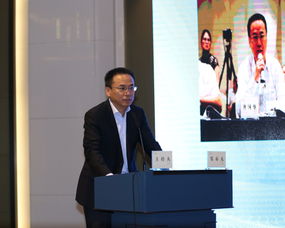 宁波市律师协会网