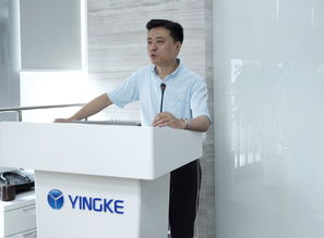 盈科律师事务所 重庆分所的专业法律支持与卓越服务