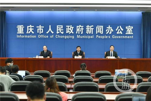 重庆律师行业发展态势 规模与专业并进，服务地方法治建设